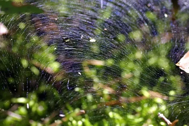 Sikkerhed på trampolinparken: Sådan undgår du skader